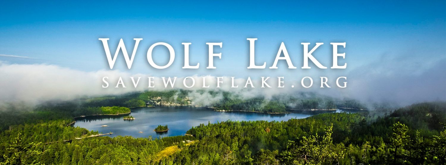 savewolf
