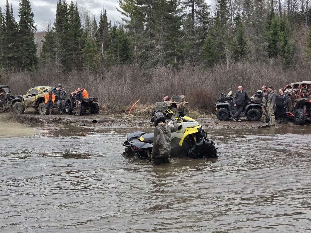 Stuck in the mud